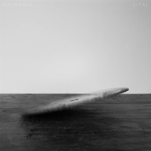 Picture of Vital  by Big Brave