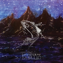 Picture of SKELLIG  by DAVID GRAY