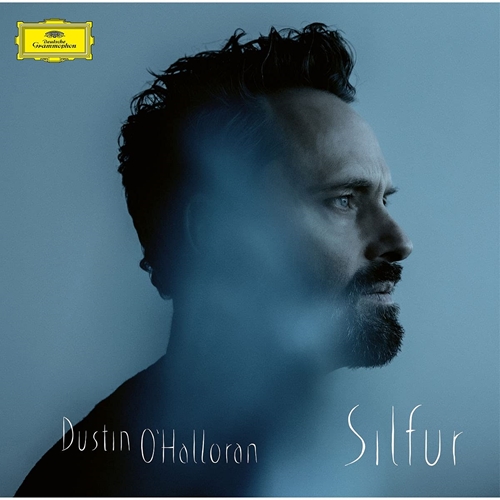 Picture of SILFUR  by DUSTIN O'HALLORAN