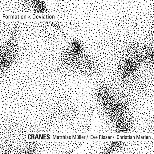 Picture of Formation < Deviation  by Eve Risser, Christian Mari Cranes: Mattias Muller