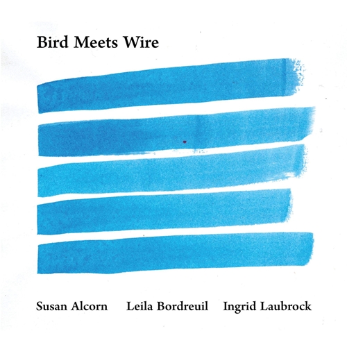 Picture of Bird Meets Wire  by Leila Bordreuil, Ingrid Laubrock Susan Alcorn