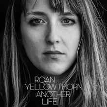 Picture of Another Life  by Roan Yellowthorn