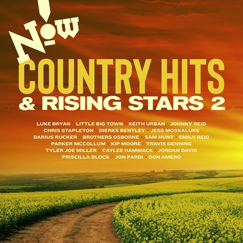 Picture of NOW! COUNTRY:HITS & RISING  by VARIOUS ARTISTS