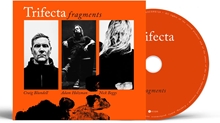 Picture of Fragments  by Trifecta