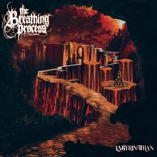 Picture of Labyrinthian  by The Breathing Process