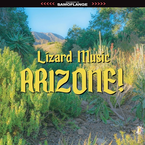 Picture of Arizone!  by Lizard Music