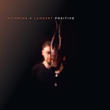 Picture of Positive  by Stimming X Lambert