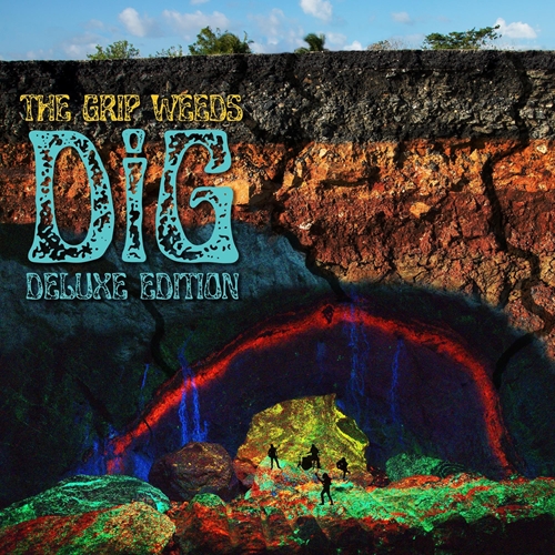 Picture of Dig  by The Grip Weeds