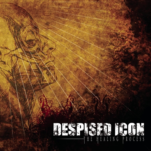 Picture of The Healing Process (Alternate Mix - Re-Issue + Bonus 2022)  by Despised Icon