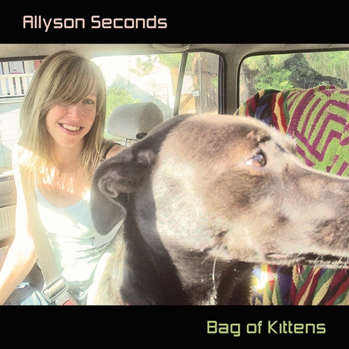 Picture of Bag Of Kittens (2020 Reissue)  by Allyson Seconds