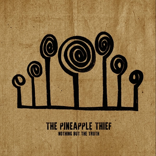 Picture of Nothing But The Truth  by The Pineapple Thief