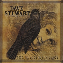 Picture of Blackbird Diaries  by Dave Stewart