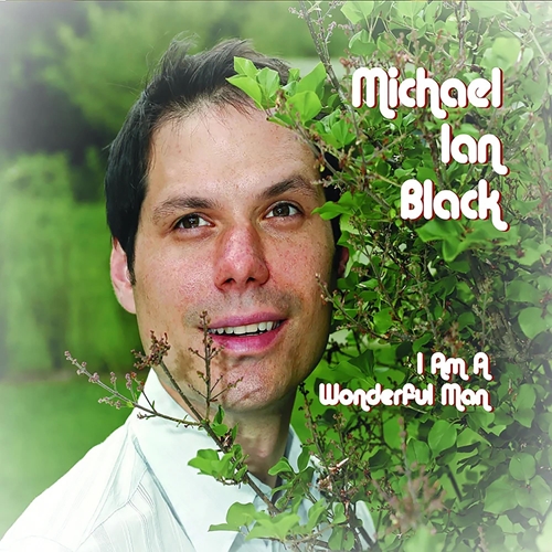 Picture of I'M A Wonderful Man  by Michael Ian Black