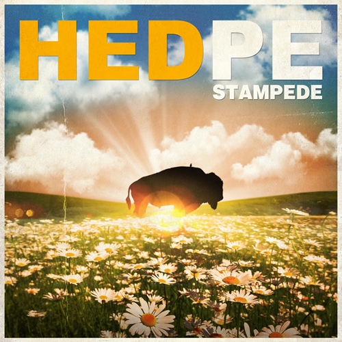 Picture of Stampede  by (Hed)P.E.