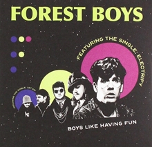 Picture of BOYS LIKE HAVING FUN (CD) (EP)                                     by FOREST BOYS