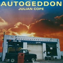 Picture of Autogeddon 25th Anniversary Edition - 2cd Book  by Julian Cope