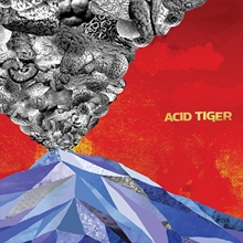 Picture of Acid Tiger  by Acid Tiger