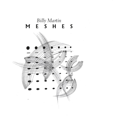 Picture of Meshes  by Billy Martin