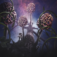 Picture of Hallucinogen  by Blut Aus Nord