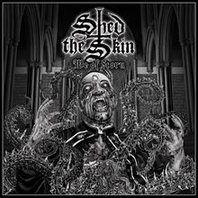 Picture of We Of Scorn  by Shed The Skin