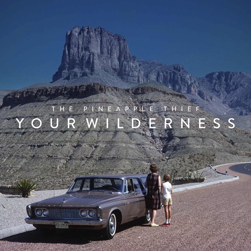 Picture of Your Wilderness  by The Pineapple Thief