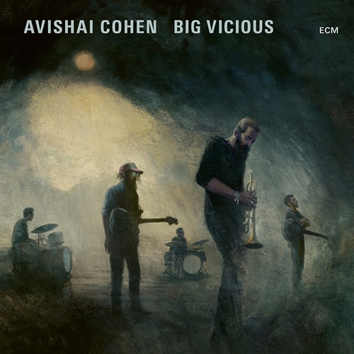 Picture of BIG VICIOUS  by AVISHAI COHEN