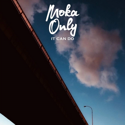 Picture of IT CAN DO  by MOKA ONLY