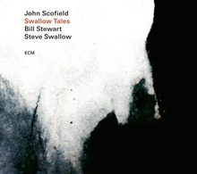 Picture of SWALLOW TALES  by SCOFIELD JOHN