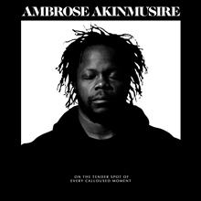 Picture of ON THE TENDER SPOT OF EVER  by AKINMUSIRE,AMBROSE