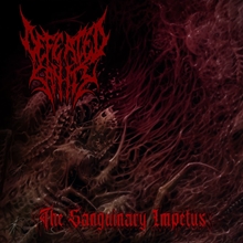 Picture of SANGUINARY IMPETUS,THE  by DEFEATED SANITY