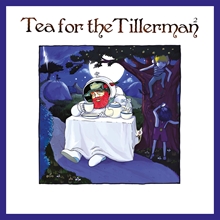 Picture of TEA FOR THE TILLERMAN 2  by YUSUF/CAT STEVENS