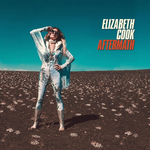 Picture of Aftermath  by Elizabeth Cook