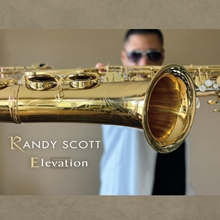 Picture of Elevation  by Randy Scott