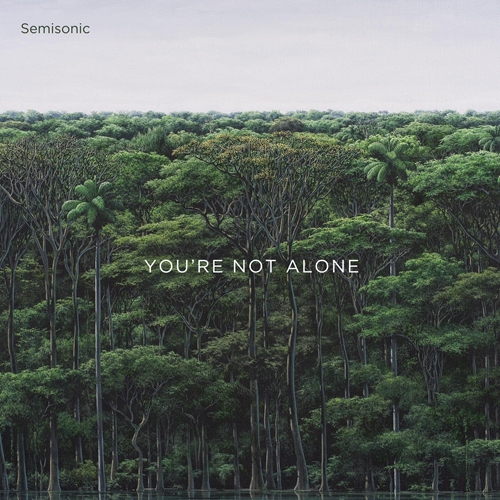 Picture of You'Re Not Alone  by Semisonic