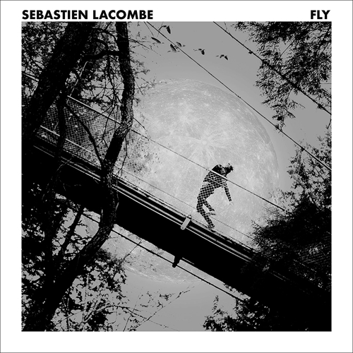 Picture of FLY (CD)                                                           by LACOMBE SEBASTIEN