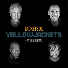 Picture of Jackets Xl  by Yellowjackets + Wdr Big Band