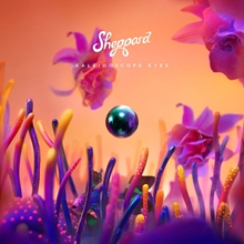 Picture of KALEIDOSCOPE EYES  by SHEPPARD