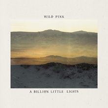 Picture of A BILLION LITTLE LIGHTS  by WILD PINK