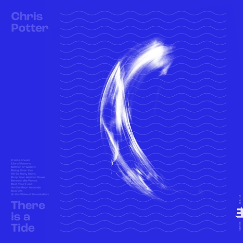 Picture of There Is A Tide  by Chris Potter