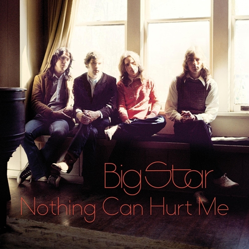 Picture of Nothing Can Hurt Me  by Big Star