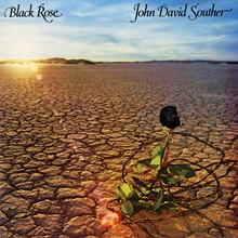 Picture of Black Rose  by Jd Souther