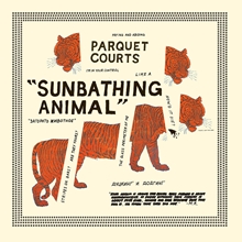 Picture of Sunbathing Animal  by Parquet Courts