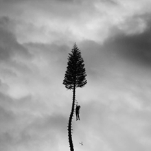 Picture of A BLACK MILE TO THE SURFAC  by MANCHESTER ORCHESTRA