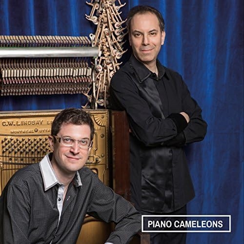 Picture of PIANO CAMELEONS  by PIANO CAMELEONS