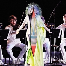 Picture of Vulnicura Strings  by Bjork