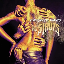 Picture of EVERYBODY WANTS  by THE STRUTS