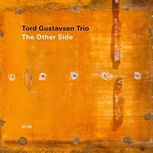 Picture of OTHER SIDE,THE  by GUSTAVSEN TORD