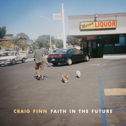 Picture of FAITH IN THE FUTURE  by CRAIG FINN