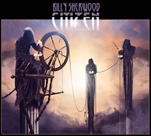 Picture of Citizen  by Billy Sherwood