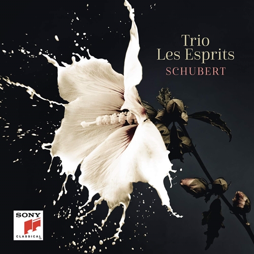 Picture of Schubert  by Trio Les Esprits